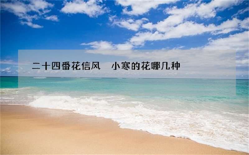 二十四番花信风 小寒的花哪几种